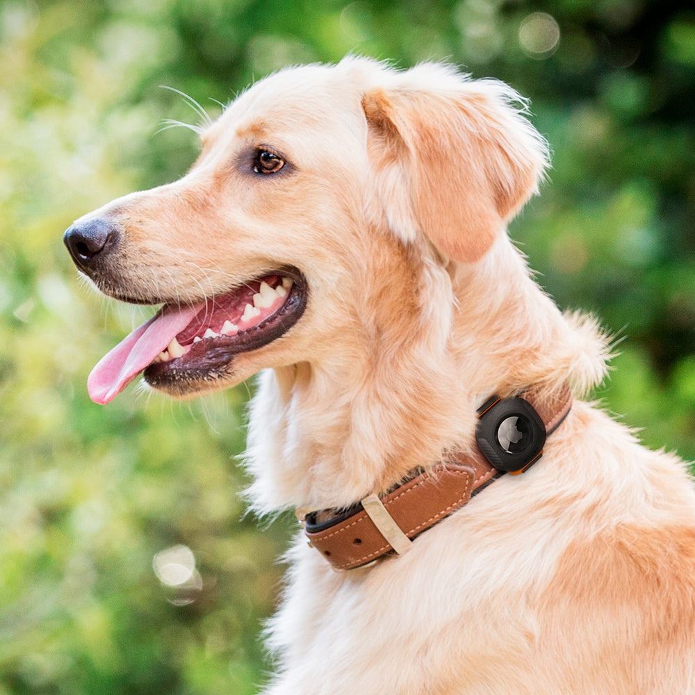 Spigen Pet Collar, black - AirTag (5)