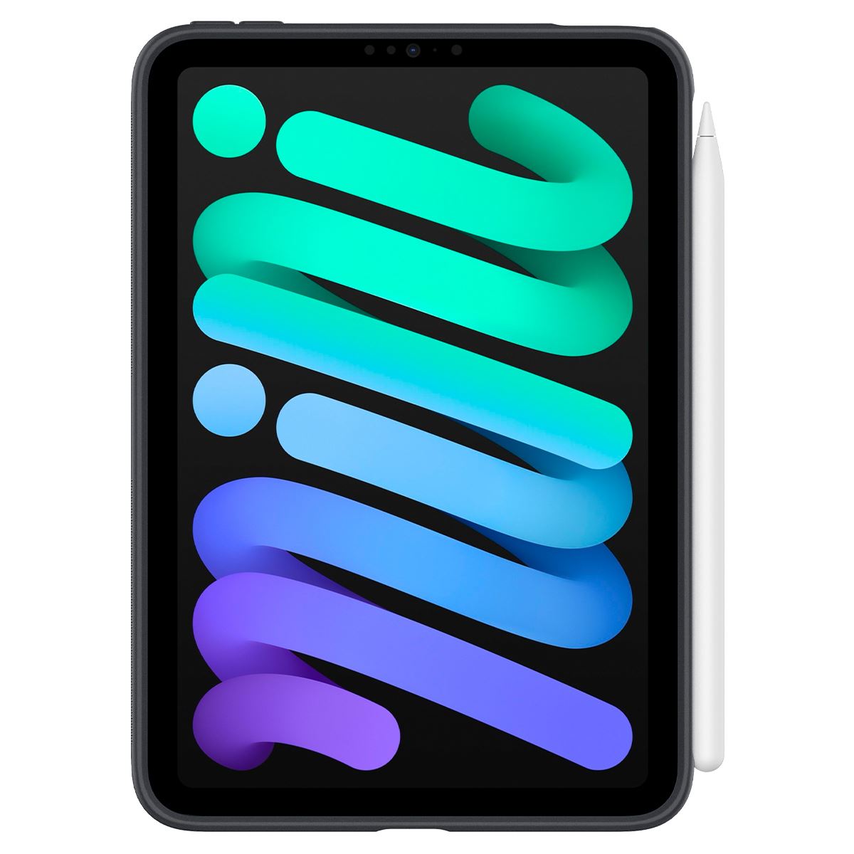 Spigen Nano Pop, black sesame - iPad mini 2024/6 (3)